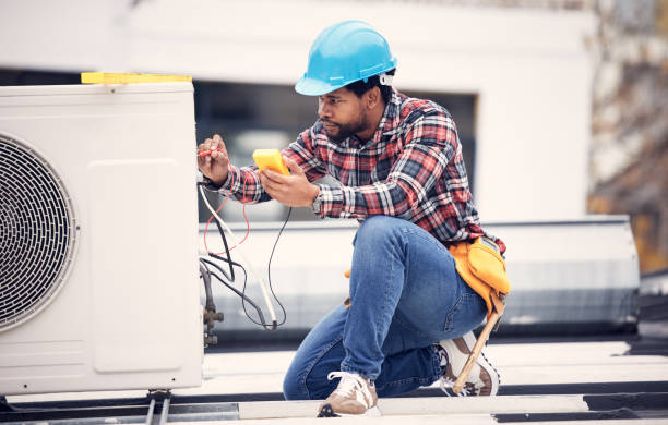 Best Affordable Electrician  in Sauk Centre, MN