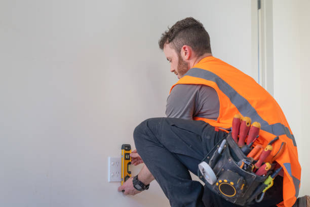 Best Licensed Electrician  in Sauk Centre, MN