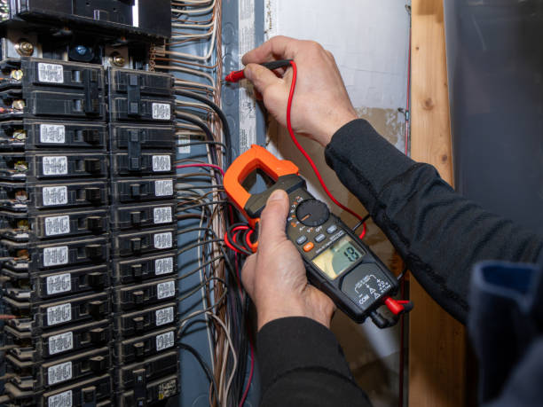 Best Home Electrical Repair  in Sauk Centre, MN