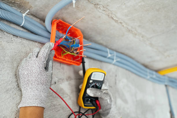 Best Electrician for Home Renovation  in Sauk Centre, MN