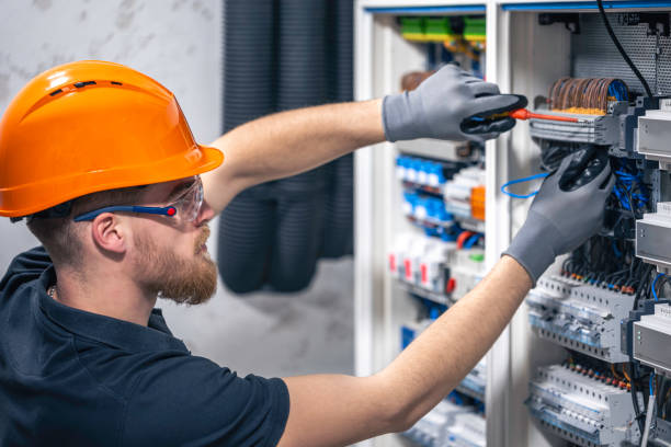 Best Local Electrician Companies  in Sauk Centre, MN